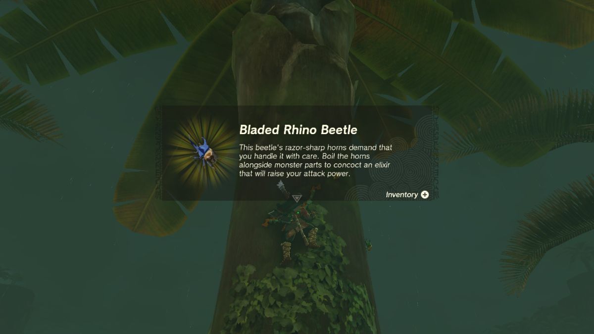 Bladed Rhino Beetle location in Zelda: Tears of the Kingdom