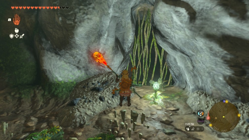 burn the branches in the crenel peak cave