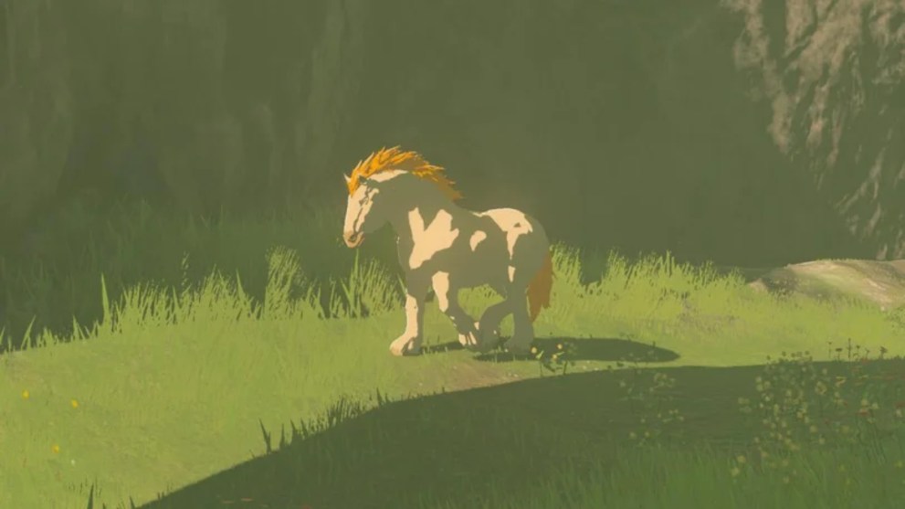Zelda Tears of the Kingdom how to get the Giant White Stallion horse
