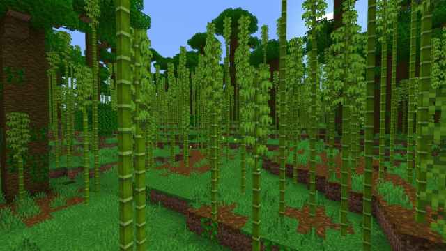 Bamboo Forest and Cherry Grove Minecraft 1.20 Seed