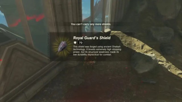 Zelda Tears of the Kingdom how to find the Royal Guard Shield