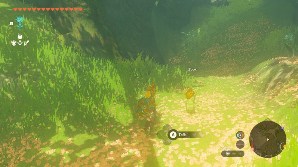 talk to zooki to start none shall pass side quest