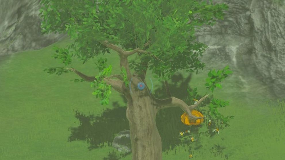 Beehive in Zelda: Tears of the Kingdom