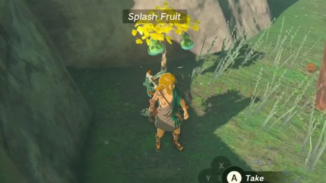 Zelda Tears of the Kingdom how to find Splash Fruit