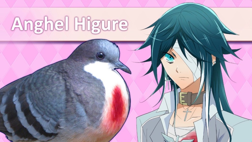 Anghel Higure in Hatoful Boyfriend, coo.