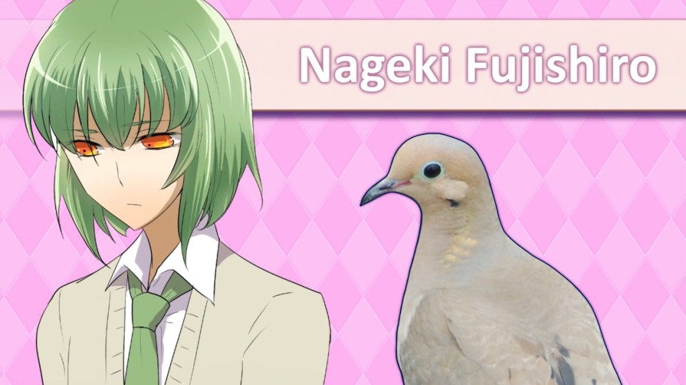 Nageki Fujishiro in Hatoful Boyfriend, coo.