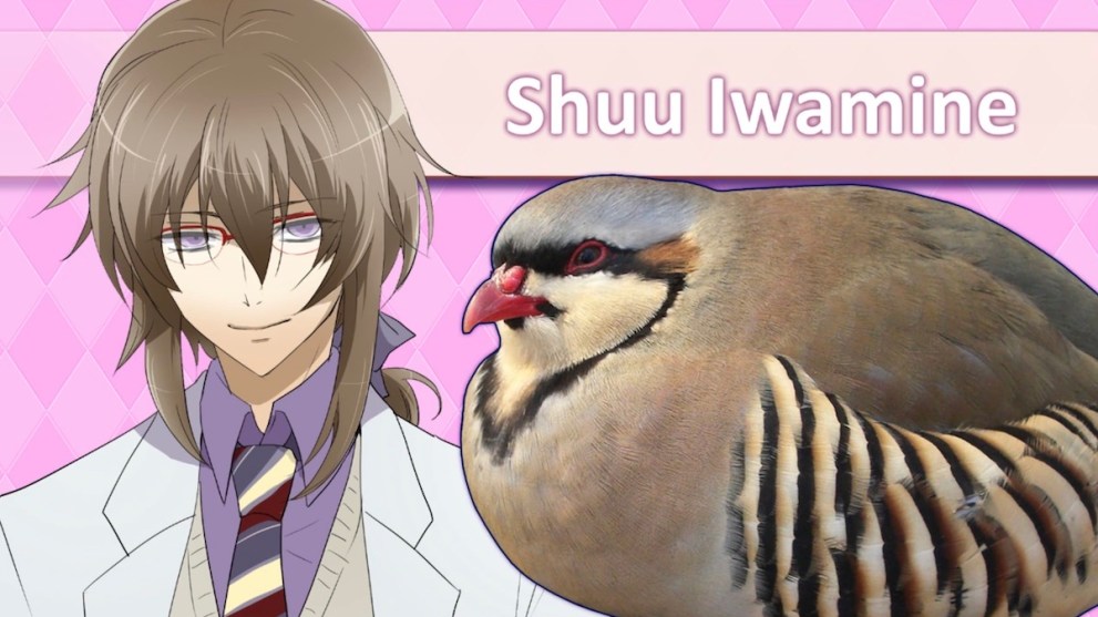 Shuu Iwamine in Hatoful Boyfriend, coo.