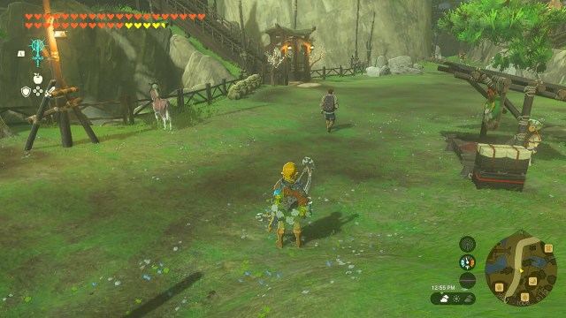 How To Get (& Use) The Ring Garland In Zelda: Tears of the Kingdom