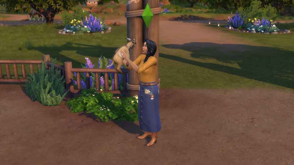 Hugging a Mini Goat in The Sims 4: Horse Ranch
