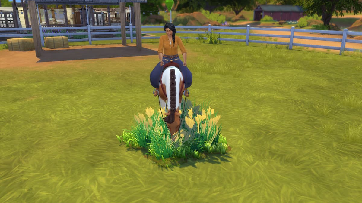 Horse eating Prairie Grass in The Sims 4