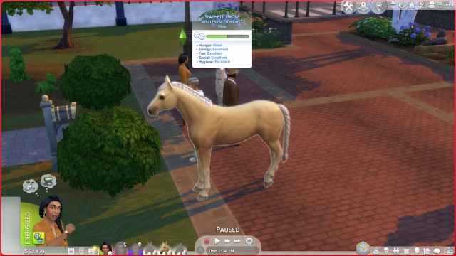 Checking the Status of a Horse in The Sims 4