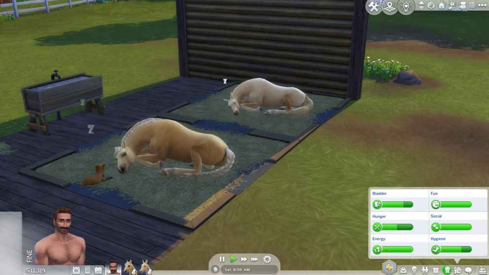 Animals Sleeping in Sims 4 Horse Ranch