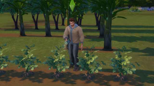Autonomous Gardening Mod for Sims 4 Horse Ranch