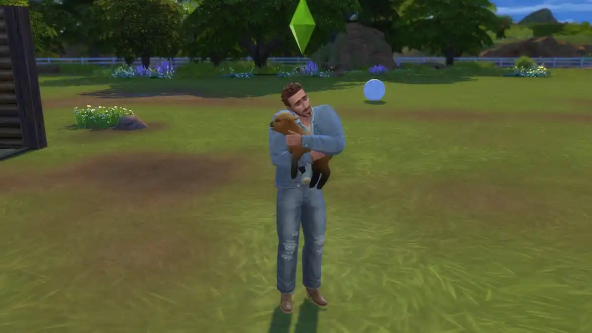 Sheep and Goat Max Limit in The Sims 4 Horse Ranch