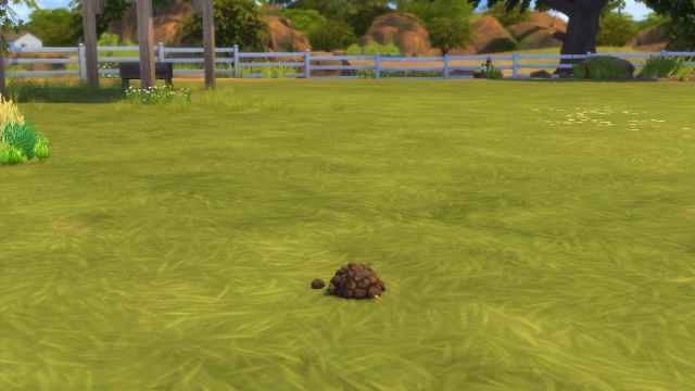 Picking up Horse Manure in The Sims 4: Horse Ranch