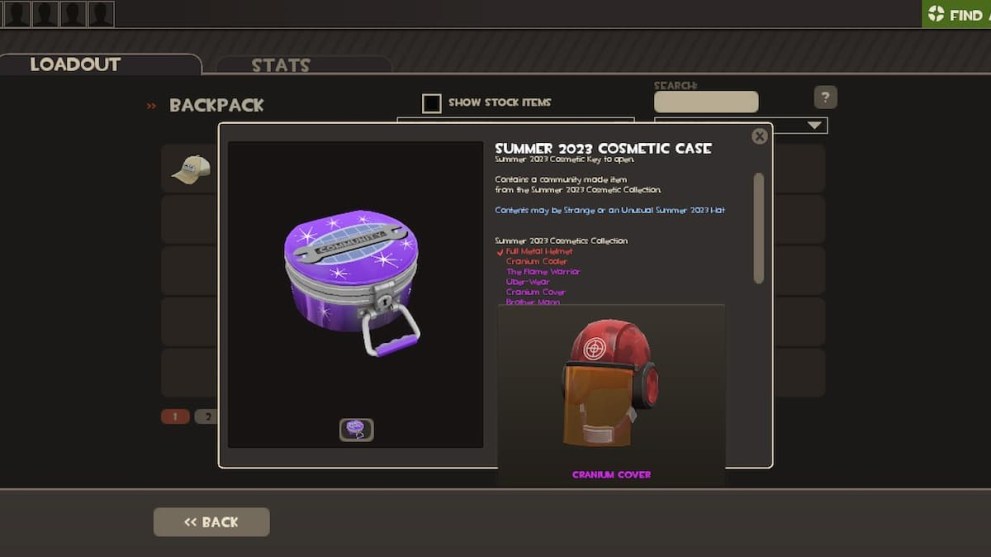 Cranium Cover in Team Fortress 2 