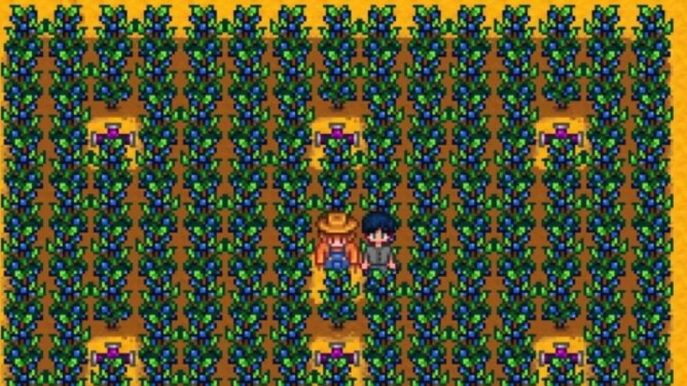 Stardew Valley how to grow Blueberry crops