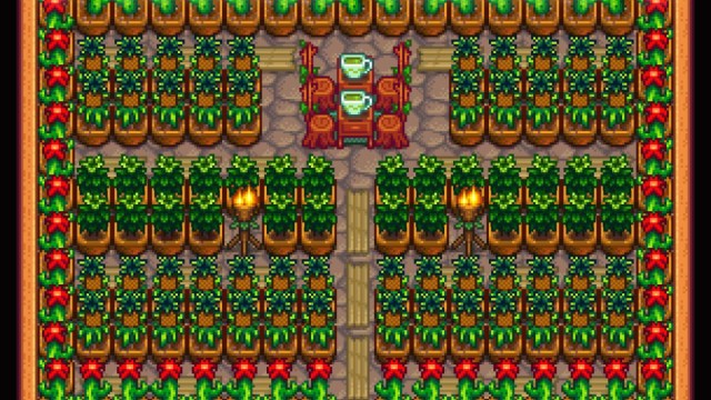 Stardew Valley how to grow Pineapple crops