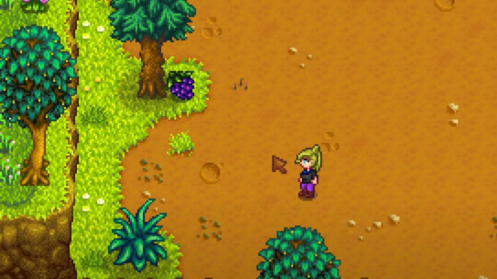 Stardew Valley how to grow Grape crops