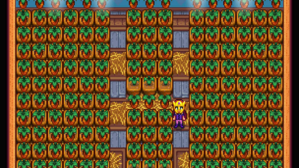 Stardew Valley how to grow Sweet Gem Berry crops