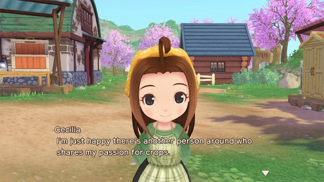 what every character likes in story of seasons a wonderful life