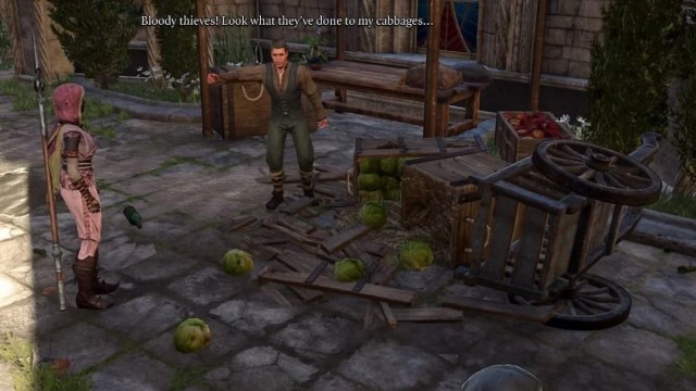 Cabbage Merchant in Baldur's Gate 3