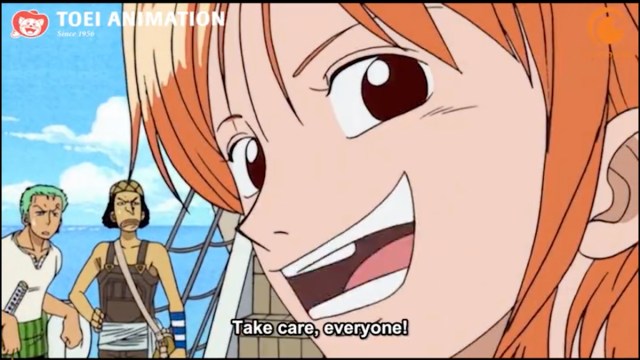 17 Facts About Nami (One Piece) 