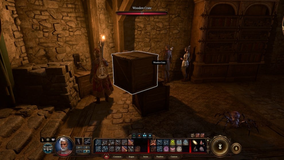 Baldur's gate 3 crates and lever secret door cellar