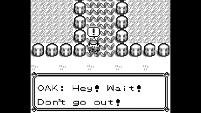 Professor Oak warns the player character not to venture out into the long grass in Pokemon Red/Blue