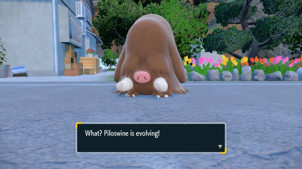 Evolving Piloswine into Mamoswine