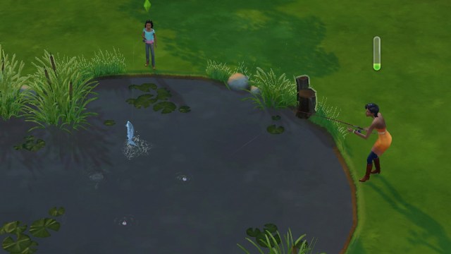 Sims 4 Ponds 
