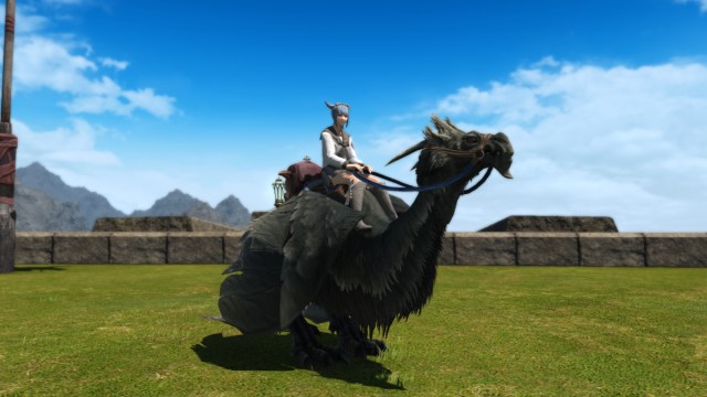 Final Fantasy 14 what is the amaro mount