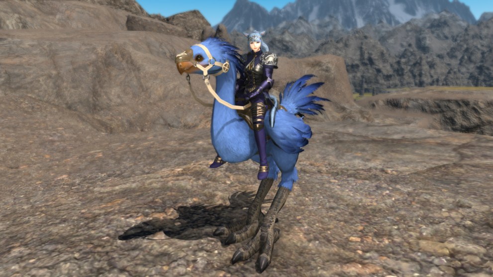 Final Fantasy 14 what is the company chocobo mount