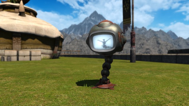 Final Fantasy 14 what is the level checker mount