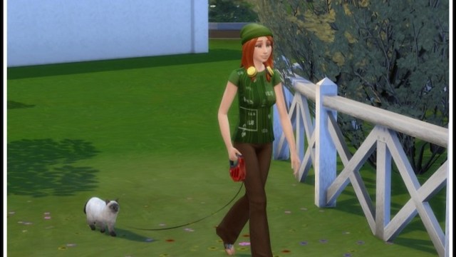 Walking a cat in Sims 4