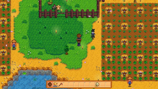 stardew valley coconut