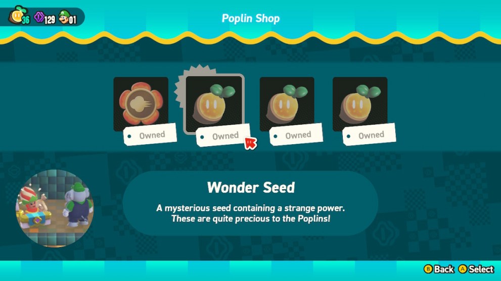 three wonder seeds shop
