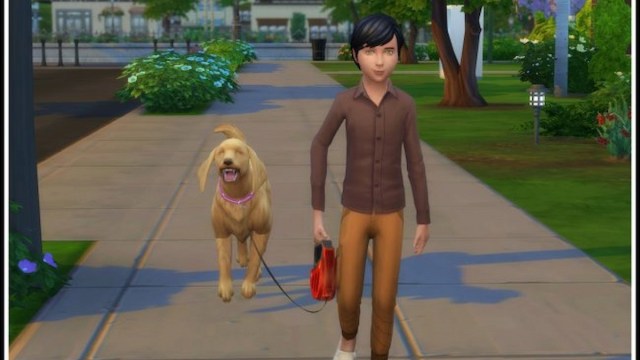 Kid walking dog in Sims 4