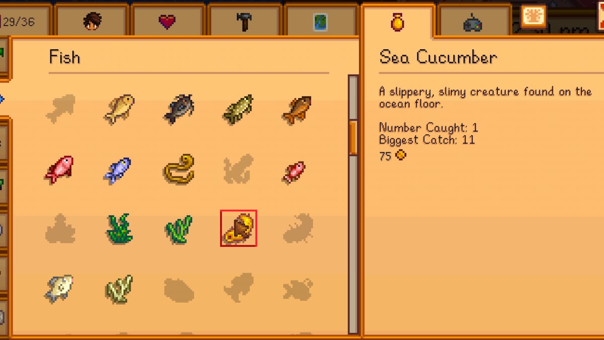 stardew valley sea cucumber where to catch & how to use