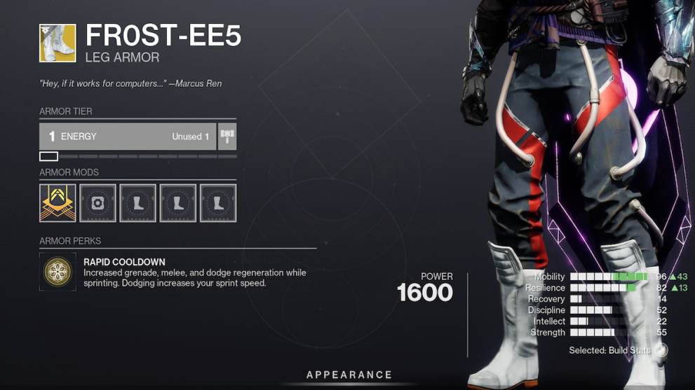 The Fr0st-EE5 Exotic Armor in Destiny 2