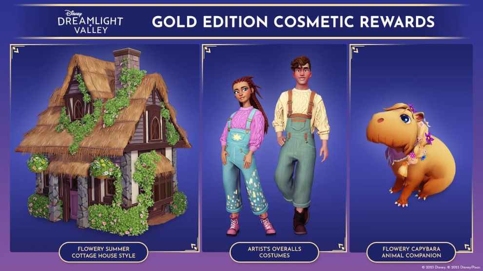 Gold Edition Cosmetics in DDV