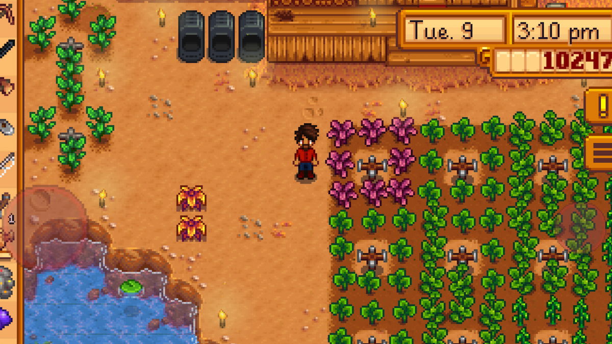 stardew valley amaranth: when to grow & how to use