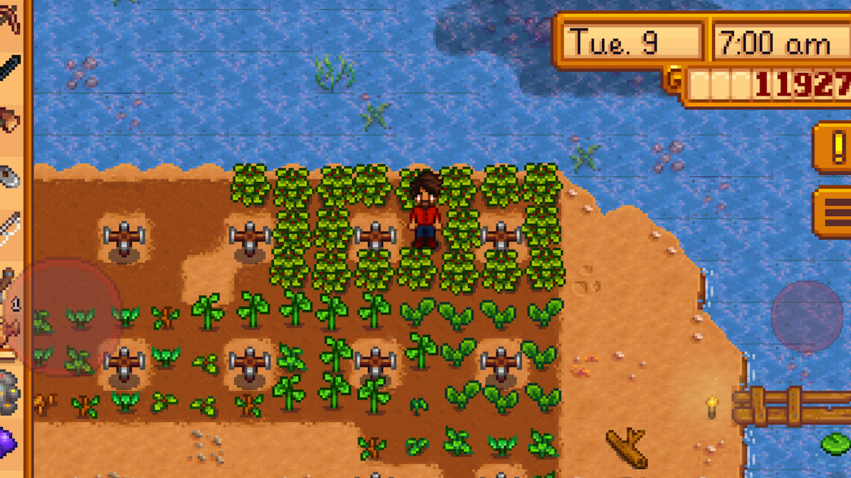 stardew valley cranberries where to find & how to use