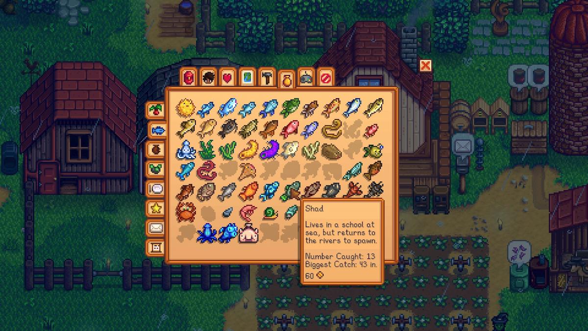 stardew valley shad: where to catch & how to use