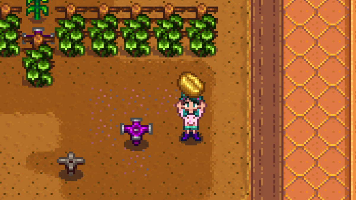 How to Get & Plant Coffee Beans in Stardew Valley - Twinfinite