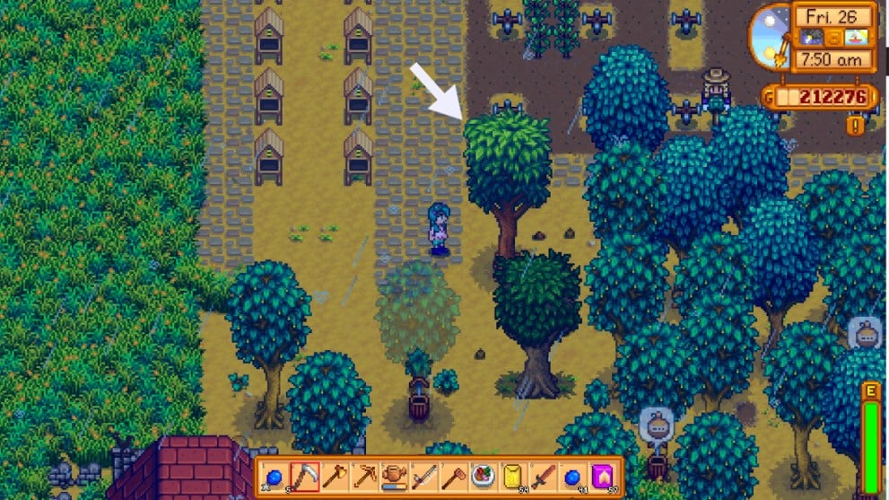 Stardew Valley where to find mahogany trees