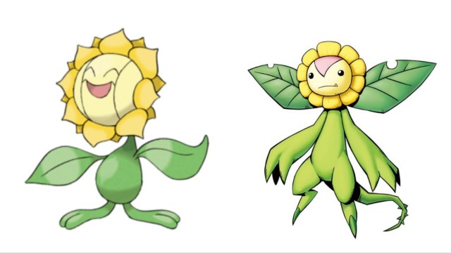 Sunflora from Pokemon and Sunflowmon from Digimon