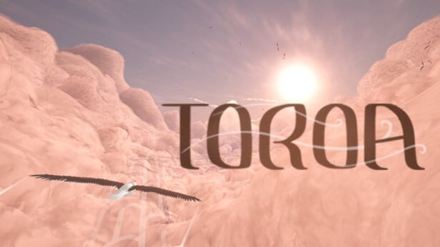 Toroa what is the game about