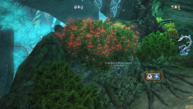 Final Fantasy XIV how to complete the sixth route in Aloalo Island