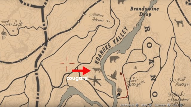 Red Dead Redemption 2 where to find cougars on the map